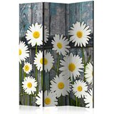 Artgeist PARAVAN 135/172/3 cm siva, bela Slike