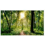  grijaća ploča M Forest (18 x 600 mm, 600 W) Cijene