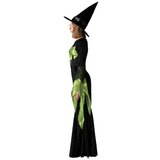  Svečana odjeća za odrasle Zelena Vještica odrasle | shoptok.hr