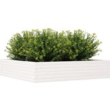  Vrtno cvetlično korito belo 110x110x23 cm trdna borovina | Shoptok.si
