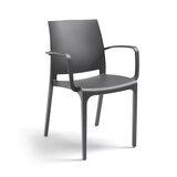  Stol OLGA grafit/črna z rokonasloni | Shoptok.si