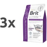 Brit veterinary diet Brit GF Veterinarska dieta za mačke - Gastrointestinal High Fibre 3 x 2 kg | Shoptok.si