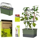 CHARLY CHILI Starter Set - temno zelena