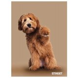 STREET Zvezek Friends A4 karo 1cm | Shoptok.si
