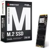 Biostar SSD M.2 NVMe M700-512GB | Eponuda.ba