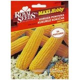  Kukuruz Kokičar 4 g Royal Seeds Cijene