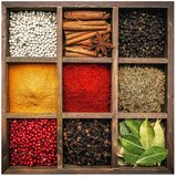 Styler Steklena slika 30x30 cm Spices Box – | Shoptok.si