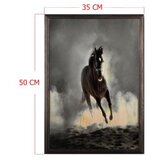 Wallity slika wild horse, 35 x 50 cm | ePonuda.com