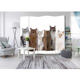  Paravan u 5 dijelova - Sweet Cats II [Room Dividers] 225x172 | shoptok.hr