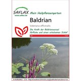 Saflax Baldrijan Cene