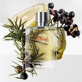 Hermès Terre d’Eau Givrée parfumska voda za moške 200 ml | Shoptok.si