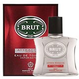 Parfem Attraction Totale toaletna voda za moške 100 ml | Shoptok.si