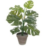  Umetna rastlina Monstera (Višina: 48 cm, Zelena, Plastika) Cene