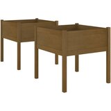 Furnova Vrtno cvetlično korito 2 kosa medeno rjavo 70x70x70 cm borovina, (21921586) | Shoptok.si