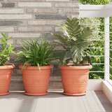 Kružni Pladanj za Cvijeće 24 pcs Crvena cigla Ø 23,5 x 2,5 cm | shoptok.hr