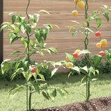  Spirale za podršku biljkama (20 kom 150 cm Čelik) | shoptok.hr