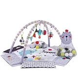 BEBESTARS Baby Gym ZEBRA