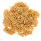 Prirodna mahovina 30 g | oker