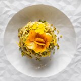 Le Coq Skleda Hesperis 18xh5,5cm / bela / porcelan, (21318065) | Shoptok.si