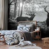  Foto tapeta - Deers in the Morning 300x210 Standard | shoptok.hr