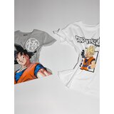 Sinsay Komplet dvodijelne pidžame Dragonball | shoptok.hr
