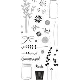 RAYHER Štampiljke Botanical, 30 motivov, (20631569) | Shoptok.si