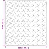  Ljetni pokrivač Ružičasta 220 x 240 cm Mikrofibra i teddy flis | shoptok.hr