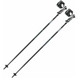 Leki Artena Airfoil 3D Ski Poles 22/23 | Shoptok.si