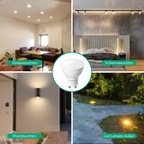 EDISHINE LED topla bela zatemnljiva žarnica, 5 W, 2700 K, 350 lm, kot žarka 120° - set 10 kosov | Shoptok.si