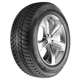 Roadstone Winguard Ice Plus ( 235/40 R18 95T )