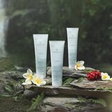 Paul Mitchell Awapuhi Wild Ginger Repair Cream Rinse hranjivi regenerator za sve tipove kose 250 ml | shoptok.hr
