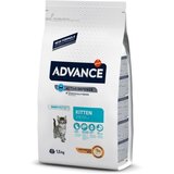 Advance Kitten - piščanec in riž 1,5 kg Cene