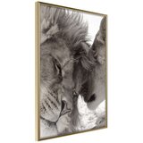  Poster - Predatory Couple 40x60 Cijene