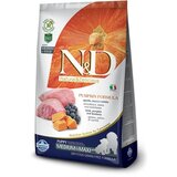 Farmina Pumpkin Dog Puppy Medium/Maxi Grain Free jagnje in borovnica 2,5 kg Cene