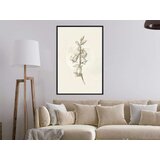  Poster - Beige Campanula 30x45 | shoptok.hr