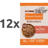 Nature’s Variety Nature's Variety Bites in Gravy Cat Adult losos v omaki, vrečka - 85 g 12 x 85 g | Shoptok.si