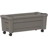 saksija s kotačima Siva 79 x 35 x 33 cm PP