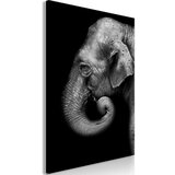  Slika - Portrait of Elephant (1 Part) Vertical 60x90 | shoptok.hr
