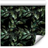  Tapeta - Winged Green 50x1000 | shoptok.hr