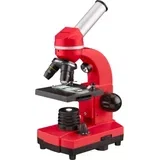 Biolux SEL Schülermikroskop dječji mikroskop monokularni 1600 x reflektirano svjetlo, iluminirano svjetlo
