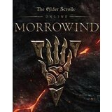 The Elder Scrolls Online: Morrowind (Upgrade DLC) Official website Key GLOBAL | Eponuda.com