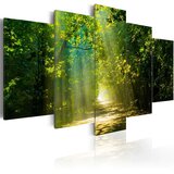  Slika - Sunshine Road 200x100 Cijene