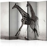  Paravan u 5 dijelova - Giraffes II [Room Dividers] 225x172 Cijene