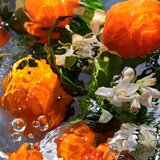 Guerlain Aqua Allegoria Orange Soleia toaletna voda punjiva za žene 75 ml | shoptok.hr