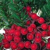 springos umjetne bobice oskoruše na žici 12 mm, 100 kom., crvene | shoptok.hr