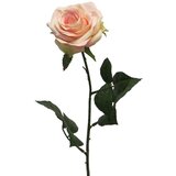 Dekordom cvet ROSA DIJON 64cm 12172-8 - Cream/Pink - NNT Cene