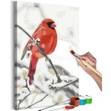  Slika za samostalno slikanje - Red Bird 40x60 | shoptok.hr