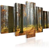  Slika - A nice forest landscape 200x100 | shoptok.hr