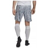 Adidas Hlače 3/4, 7/8 Condivo 22 Gk Siva | Shoptok.si