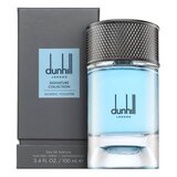 Dunhill Signature Collection Nordic Fougere parfumirana voda za moške 100 ml | Shoptok.si